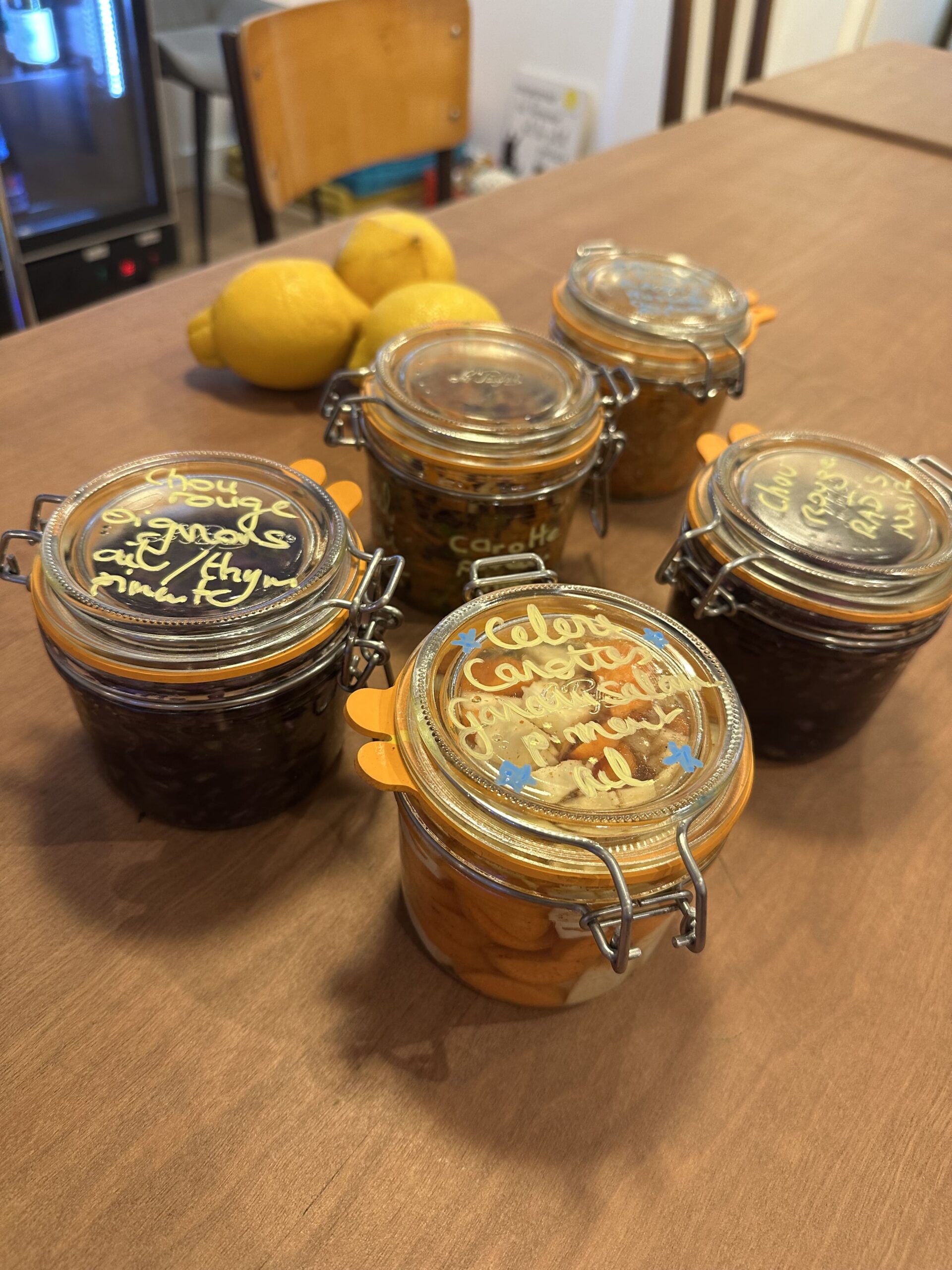 fermentation-legume